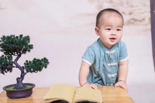 桓台可爱的企鹅宝宝